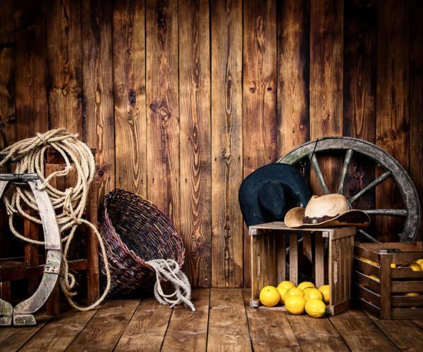 CowBoy Theme Backdrops for Kids-Photography